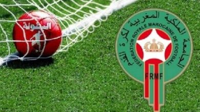 البطولة الوطنية الاحترافية