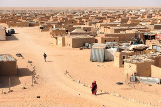 البوليساريو | MCG24 البوليساريو
