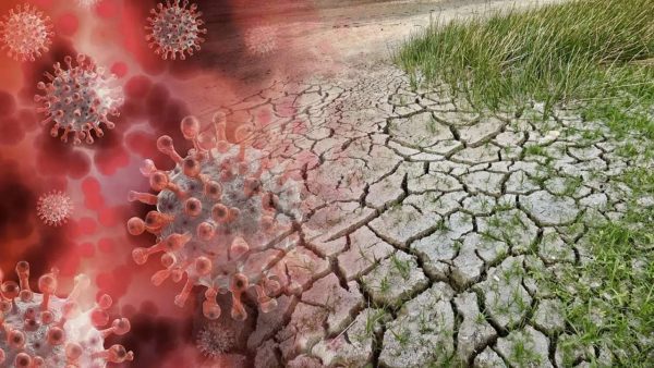 ذخدهي | MCG24 | موقع إلكتروني مغربي شامل متجدد على مدار الساعة