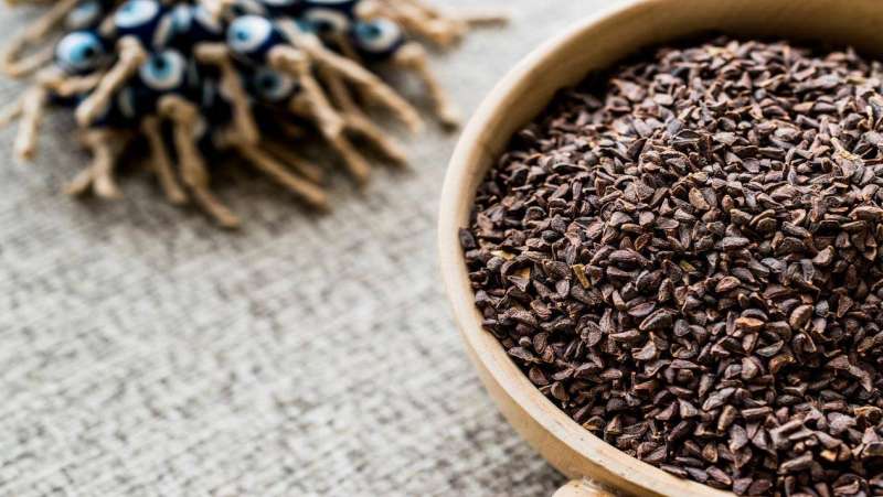 نبتة الحرمل سلاح تركمانستان لمحاربة كورونا