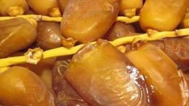 مقاطعة التمور الجزائرية