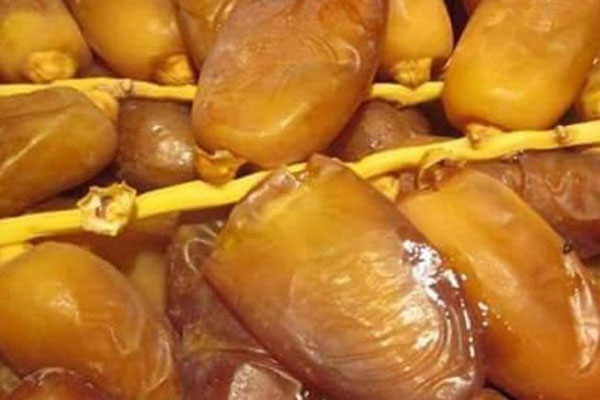 مقاطعة التمور الجزائرية