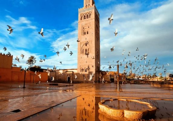 مراكش | MCG24 مراكش