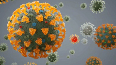 كوفيد-19.. سلالة دلتا تشكل أكثر من 80 في المئة من الإصابات بفيروس كورونا