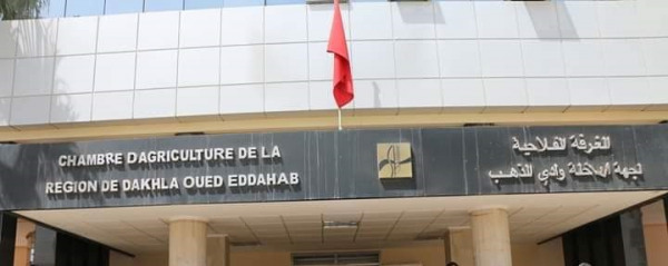 Chambre-Agriculture-region-Dakhla-Oued-Ed-Dahab-Concours-recrutement (1) | MCG24