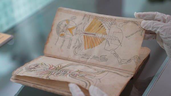 b00c2149-3ace-4a1f-b6de-5ddfb9ccc514_16x9_600x338 | MCG24 | موقع إلكتروني مغربي شامل متجدد على مدار الساعة