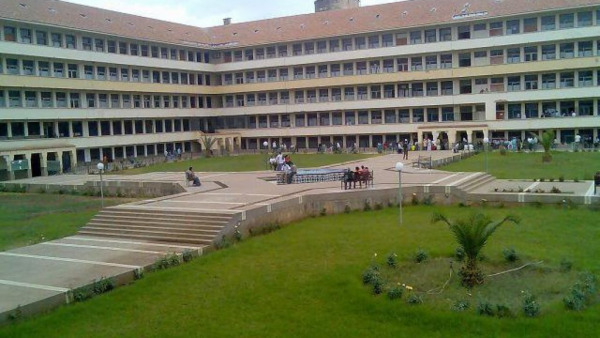 جامعة-1024x576 | MCG24