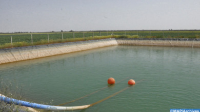 Irrigation-Archives | MCG24 القصر الكبير ..تخصيص 290 مليون درهم لحماية الموارد المائية و إنشاء بنيات التطهير السائل