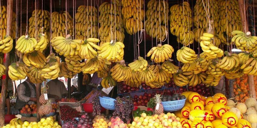 الموز المعروض في الأسواق الوطنية | MCG24 الموز المعروض في الأسواق الوطنية
