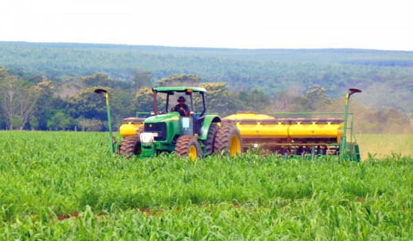 agriculture | MCG24 | موقع إلكتروني مغربي شامل متجدد على مدار الساعة