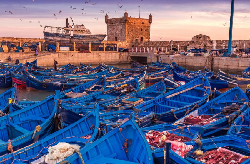 essaouira-port-i-850x560-1 | MCG24 | موقع إلكتروني مغربي شامل متجدد على مدار الساعة