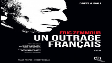 إيريك زمور، إهانة فرنسية