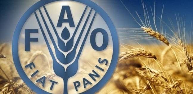 الفاو