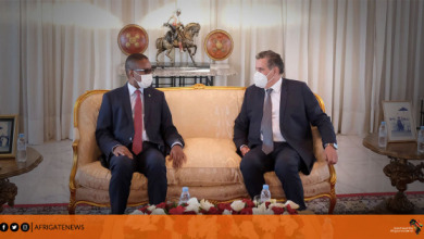 أخنوش يجري محادثات مع الوزير الأول الموريتاني