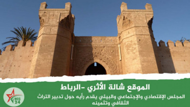 المجلس الإقتصادي و الإجتماعي_