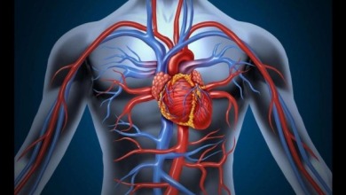 أمراض القلب والشرايين