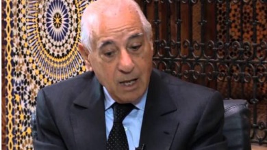 مؤرخ المملكة عبد الحق المريني