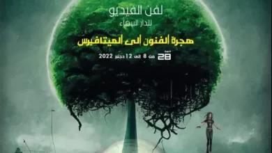 الدورة 28 للمهرجان الدولي لفن الفيديو بالدار البيضاء