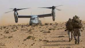 الأسد الإفريقي 2023