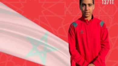 رضا بناني