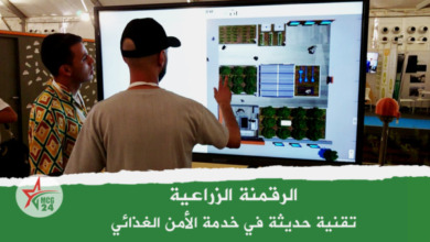 الرقمنة الزراعية تقنية حديثة خدمة للأمن الغذائي
