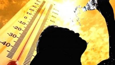 نشرة | MCG24 | موقع إلكتروني مغربي شامل متجدد على مدار الساعة