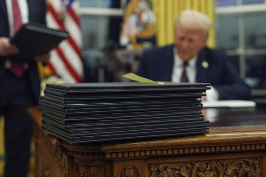 Donald Trump | MCG24 | موقع إلكتروني مغربي شامل متجدد على مدار الساعة