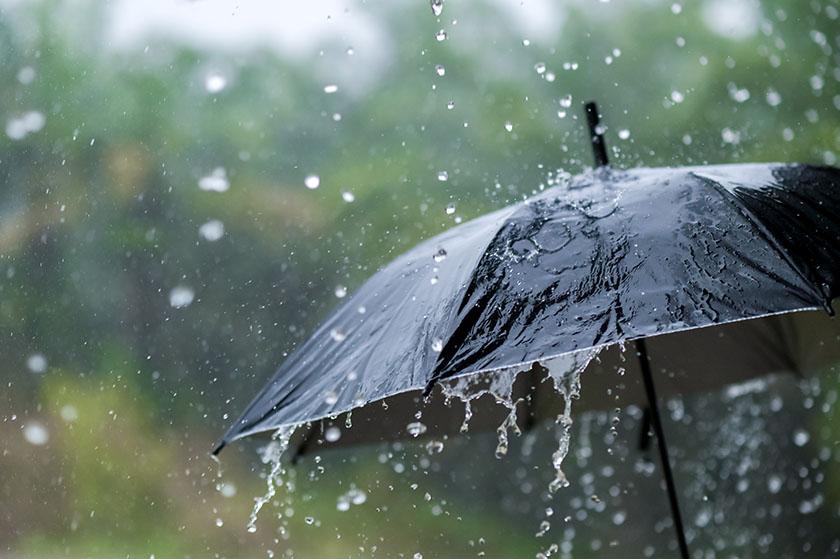 It's raining heavily, wearing an umbrella during the rainy season | MCG24 | موقع إلكتروني مغربي شامل متجدد على مدار الساعة