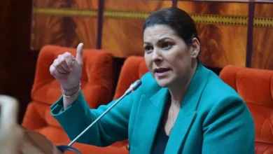 الأصالة والمعاصرة يراهن على المنصوري لقيادة أول حكومة نسائية