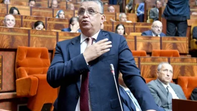 وزير العدل عبد اللطيف وهبي