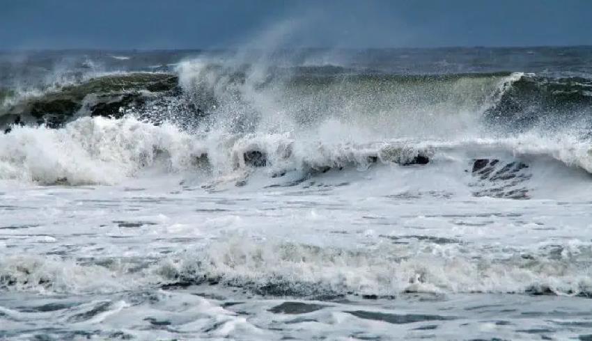 vis_0128202617595666 | MCG24 | موقع إلكتروني مغربي شامل متجدد على مدار الساعة