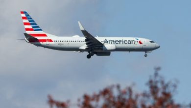 American Airlines jet in level flight, side view with the word American on the fuselage, blue sky background and blurred tree branches in the foreground.