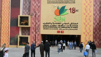 Entrance to the 18th SIAM Morocco agriculture expo, with a colorful decorative facade, people walking toward the entrance, Moroccan flags, and animal display boxes on the left.