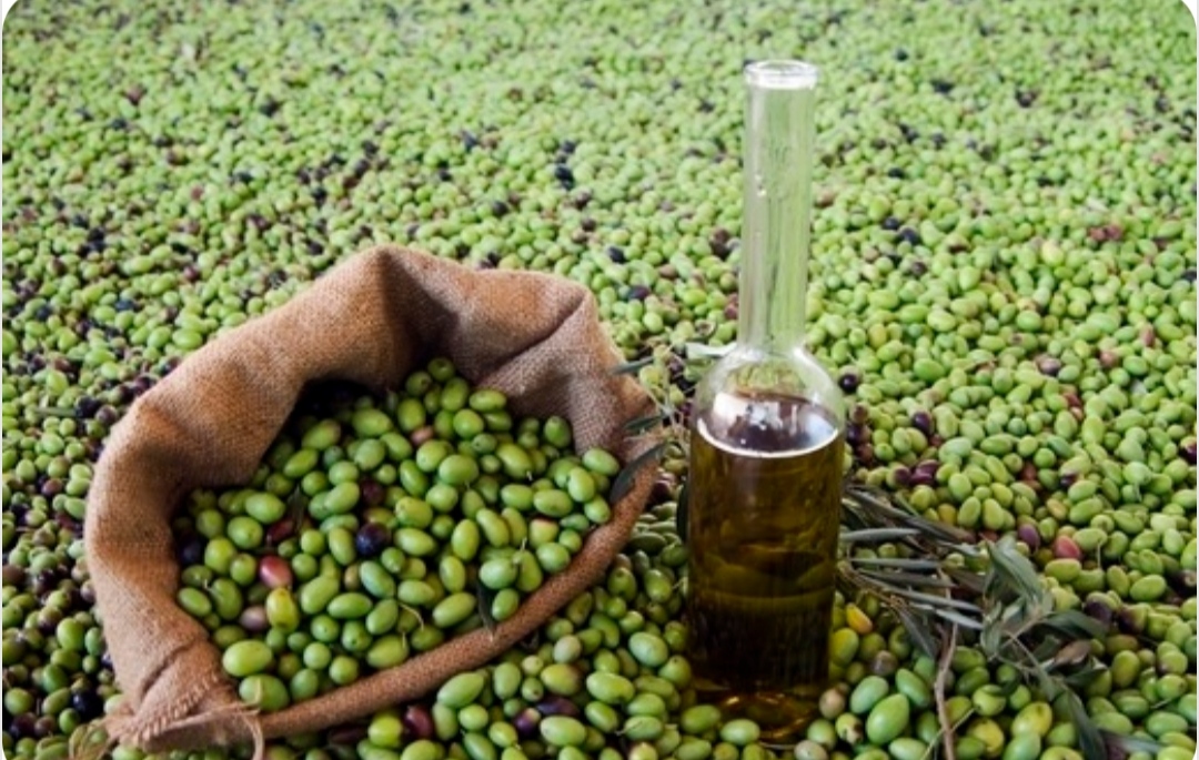 Burlap sack full of green olives beside a tall glass bottle of olive oil outdoors on leafy ground.