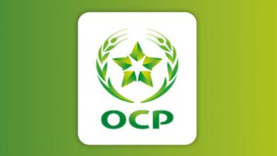 OCP logo: green star with laurel on a white rounded-square badge, with the letters OCP underneath on a green gradient background.