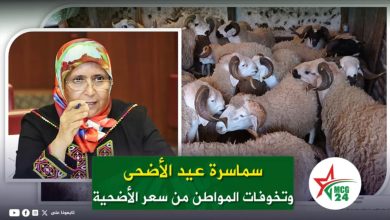 News thumbnail: woman in a colorful hijab speaks on the left and a flock of sheep on the right, overlaid with a green Arabic headline.