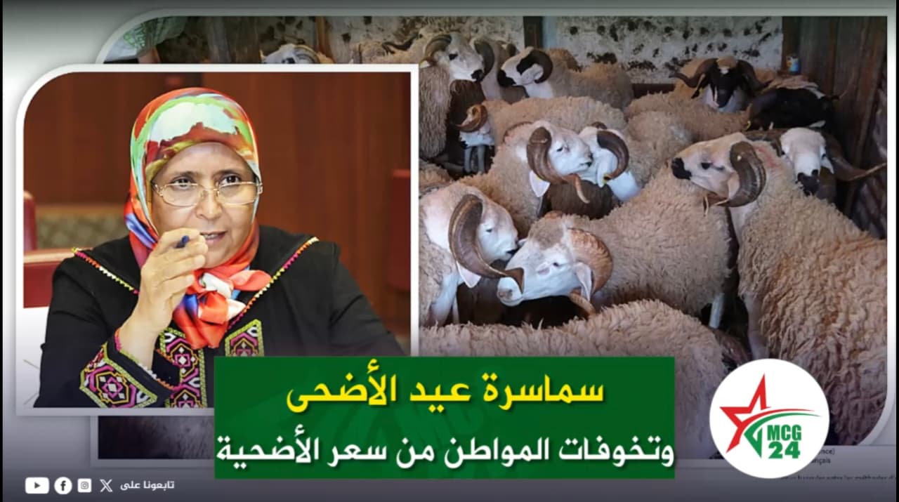 News thumbnail: woman in a colorful hijab speaks on the left and a flock of sheep on the right, overlaid with a green Arabic headline.