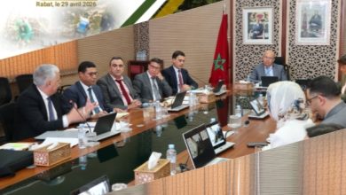Banner for the 3rd Steering Committee meeting 'Projet Green Jobs II' in Rabat, showing a boardroom with officials around a long table, Moroccan flag, and framed portraits in the background.