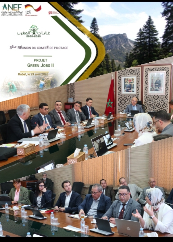 Banner for the 3rd Steering Committee meeting 'Projet Green Jobs II' in Rabat, showing a boardroom with officials around a long table, Moroccan flag, and framed portraits in the background.