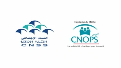 المجلس الاقتصادي يحذر من مخاطر نقل CNOPS إلى CNSS