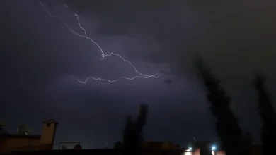 Dark stormy night with a jagged lightning bolt across the cloudy sky over city rooftops and tall trees in the foreground.