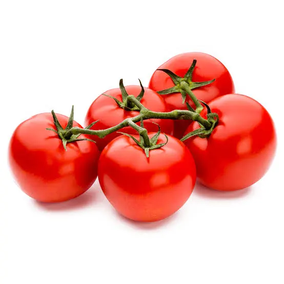 Cluster of red ripe tomatoes on a green vine against a white background