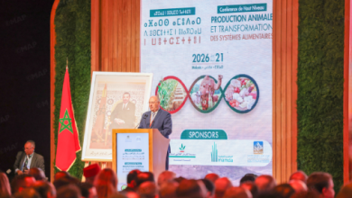Man giving a speech at a conference podium on a stage, with a Moroccan flag and a large screen displaying event graphics and a framed portrait nearby, audience in foreground.
