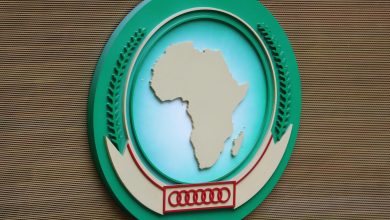 Circular emblem featuring a beige map of Africa within multiple green rings on a light blue backdrop, set against a textured brown background.