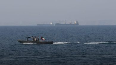 Small motorboat with several people and an Indian flag gliding over calm sea, a large cargo ship visible in the distance.
