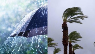 Split image: a rain-soaked umbrella on the left and swaying palm trees in a windy storm on the right.