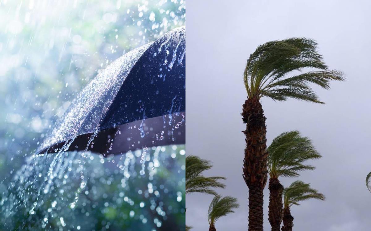 Split image: a rain-soaked umbrella on the left and swaying palm trees in a windy storm on the right.
