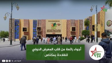 Entrance to a colorful outdoor exhibition with patterned walls, arches, and a crowd entering the main hall; MCG24 logo visible on the right.