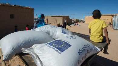 البوليساريو تستولي على المساعدات الغذائية | MCG24 | موقع إلكتروني مغربي شامل متجدد على مدار الساعة البوليساريو تستولي على المساعدات الغذائية