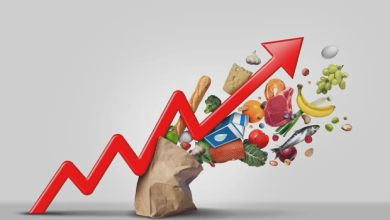 Rising red arrow bursting from a grocery bag, with groceries spilling out, illustrating increasing food prices.